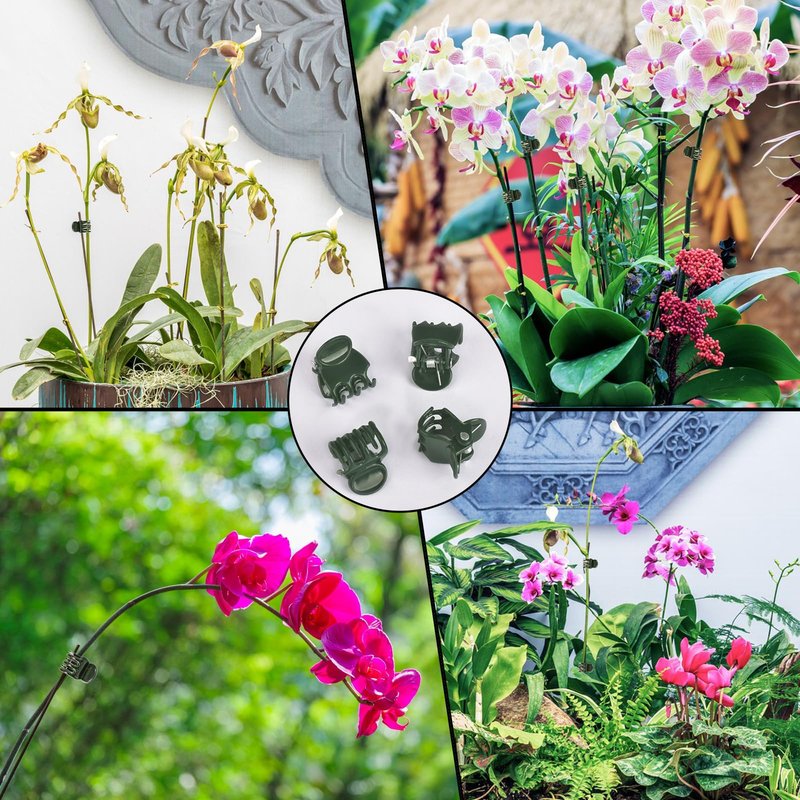 AccEncyc 100 Pcs Plant Clips Orchid Clips Plants Orchid Support Clips Flower Vine Clips for Supporting Stems Vines Stalks Climbing Plant Grow Upright