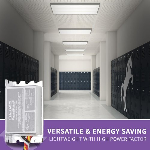 Fulham Lighting WH2-120-C Workhorse 2 Adaptable Lighting Ballast, 120V