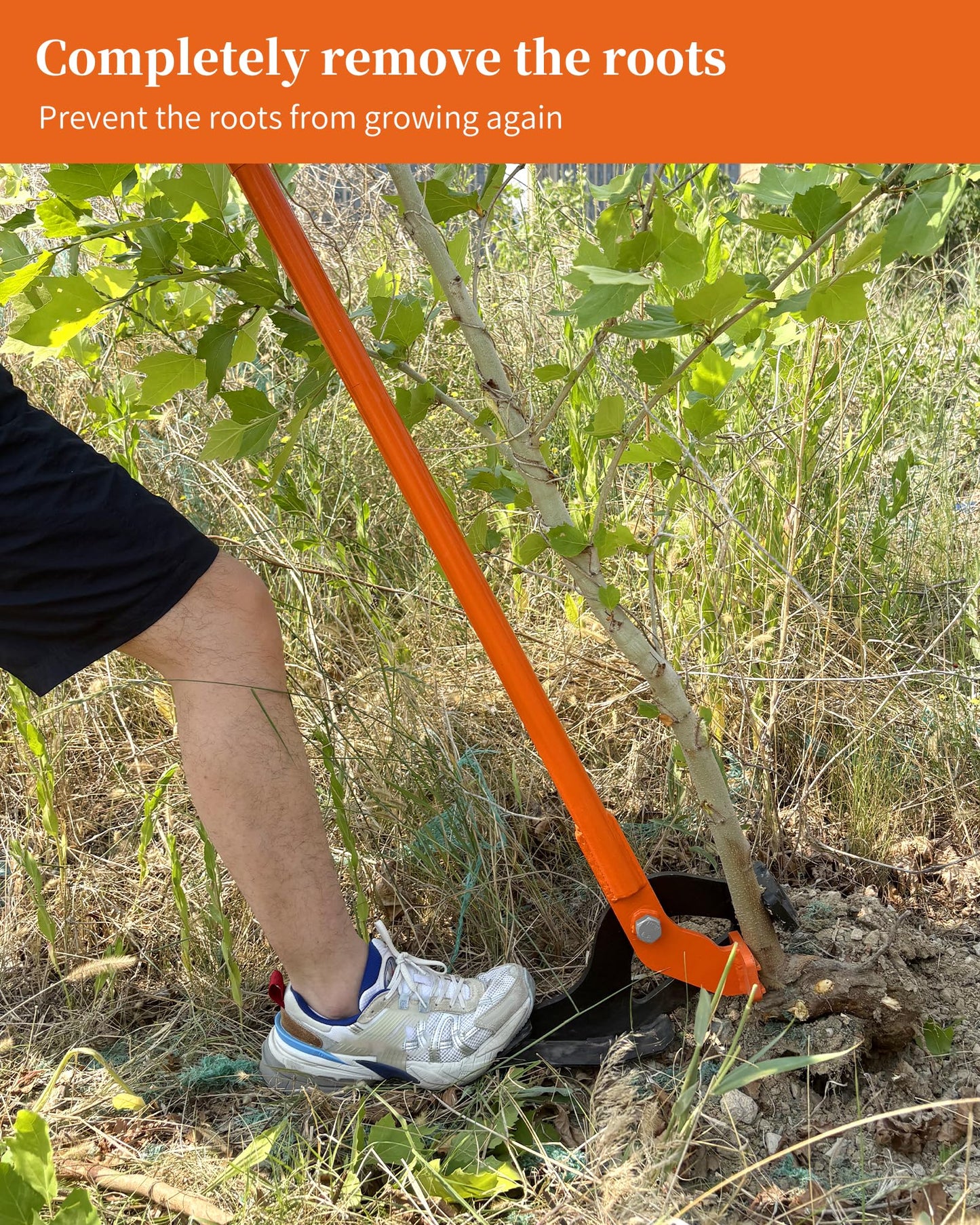 CGENWDCH Large Size Sapling Puller, Heavy-Duty High-Leverage Tree Puller Tool, Fully Uproots Woody Stems ¼ inch - 2 inches, Suitable for Trees, Shrubs, Vines and Thorns with Large Root Systems