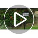 MAXvolador Solar Address Sign with 3 Light Modes - Waterproof House Number Plaque (Variation 1)