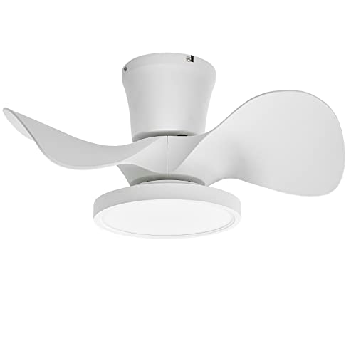 ocioc White 22-Inch Ceiling Fan with LED Light Remote Control for Kitchen Bedroom
