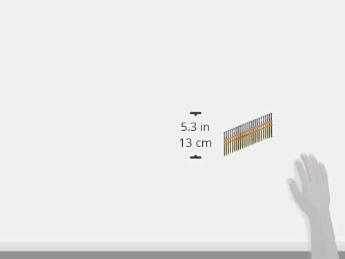 CRAFTSMAN 21° Round Head Nails - Ring Shank Framing Nails, 500-Count