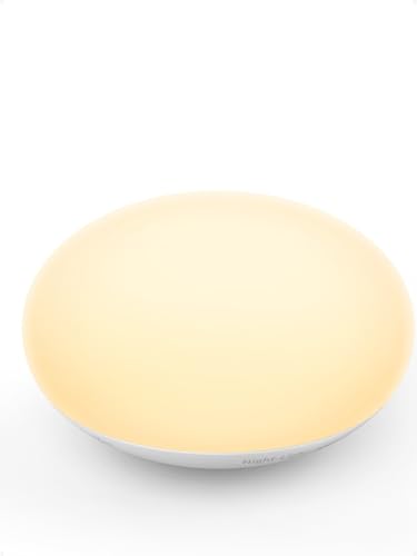 EASZZZ Baby Night Light Egg Lamp for Nursery, Warm White Flip Design Touch Lamp