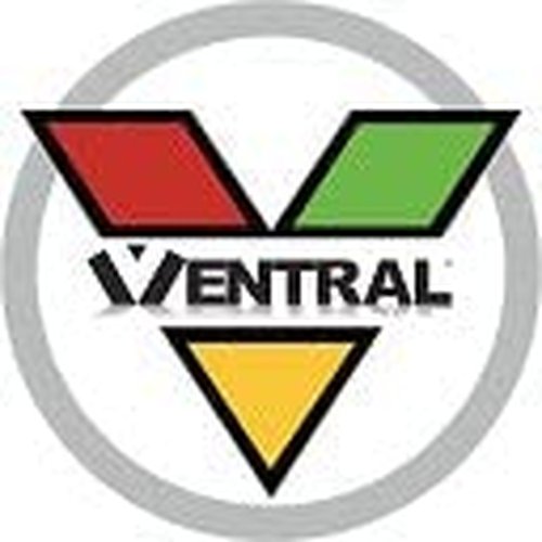 VENTRAL Lumber 1 in. x 4 in. (3/4" x 3-1/2") Construction Premium Douglas Fir Board Stud Wood 1FT