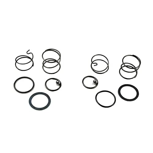 Palart N078434 Spring kit for 20 V impact wrench DCF885 DCF886 spring and ball replacement, impact driver spring kit and ball (2 pcs)