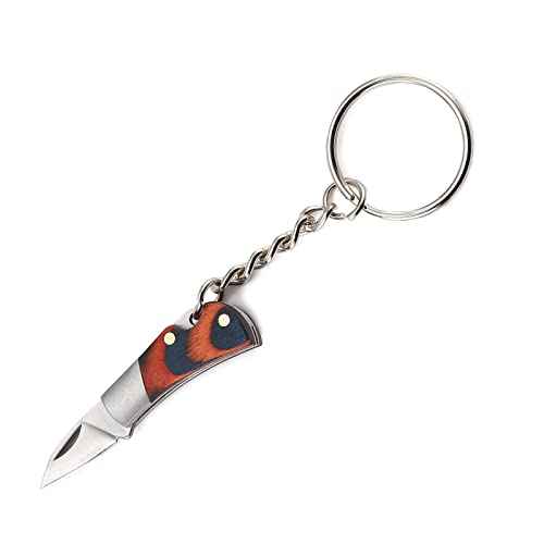 2PCS Small Pocket Knives, Mini EDC Stainless Steel Folding Knife with Colorful Wood Handle