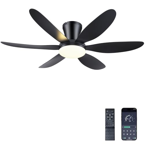 GJeg 42 Inch Black Ceiling Fan with Lights Remote Control Low Profile
