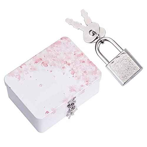 10pcs Mini Cute Diary Padlock Tiny Small Luggage Locks with Keys for Jewelry Boxes Decor Backpack Travel