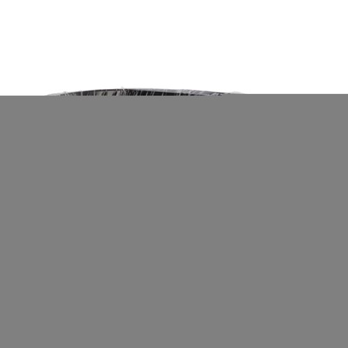 FOSA Bonsai Wire, Aluminum Wire Training Wire 500g, Bonsai Training Wire for Garden Horticulture with Easy Shape Bending, Long Length (2.0mm)