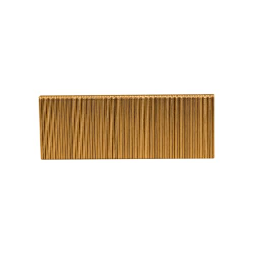 Freeman 16-Gauge 2-Inch Medium Crown Construction Staples | 1,000 Count | Galvanized Steel for Indoor & Outdoor Use