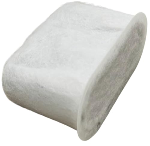 Delonghi 7313285779 O.E.M. Carbon Filter