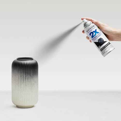 Rust-Oleum 334020 Painter's Touch 2X Ultra Cover Spray Paint, 12 oz, Flat Black