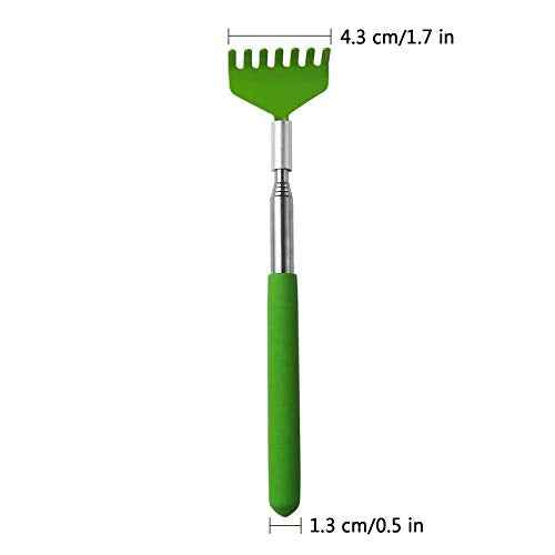 MIUPOO Mini Zen Sand Rakes Tool Decoration Garden Sand Rake Feng Shui Decoration for Home Office 2 Pieces(Yellow + Green)