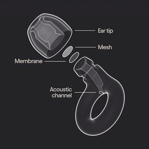 Loop Experience 2 Black Ear Plugs - Certified Hearing Protection for Loud Events