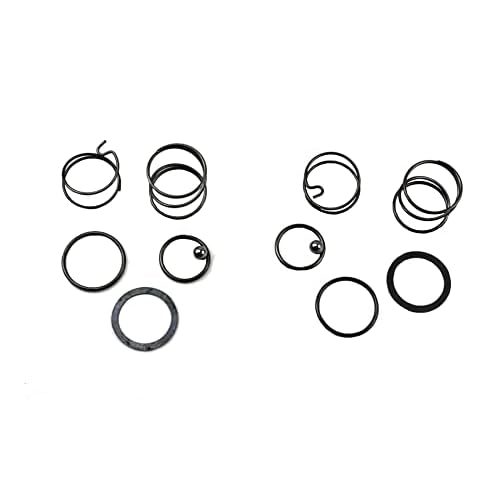 Palart N078434 Spring kit for 20 V impact wrench DCF885 DCF886 spring and ball replacement, impact driver spring kit and ball (2 pcs)