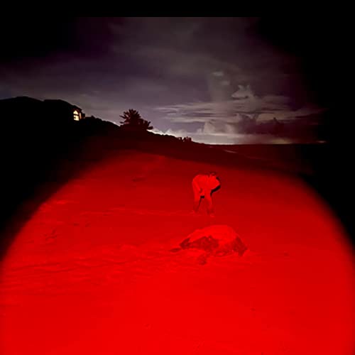 Military Red Light Flashlight Single Mode Zoomable Red Torch Light Red Flashlight for Hunting Astronomy Night Observation, 2 Pack