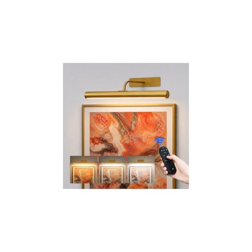 EZVALO 16 Inch Rechargeable Picture Light with Gold Finish, 6000mAh Battery, Adjustable Color & Brightness