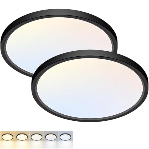Fairdeer Black 12-Inch LED Flush Mount Ceiling Light 5 Color Temperatures 2-Pack