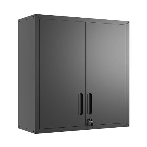 Wall Mounted Steel Storage Cabinet with Lockable Doors, 2-Section, 29.53 W x 11.81 D x 30.31 H, Black / S - 2 Doors