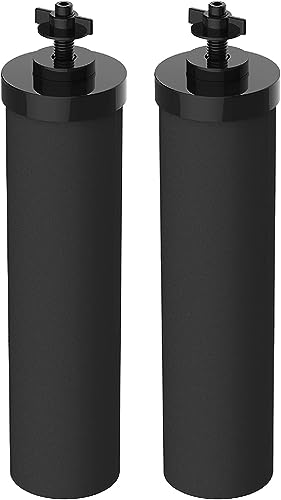 Filterlogic 2 Pack Gravity Water Filter Replacement for Berkey BB9-2® & Purewell