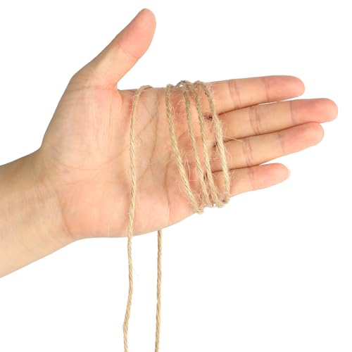 KINGLAKE Natural Jute Twine String Brown 2mm x 656 Feet for Crafts Gift Wrapping Garden