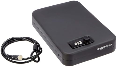 Amazon Basics XL Portable Security Case with Combination Lock for Valuables