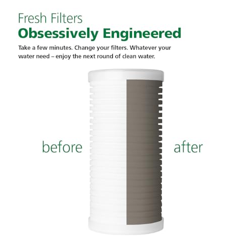A. O. Smith 4.5x10 Inch 25-Micron Universal Sediment Water Filter Replacement