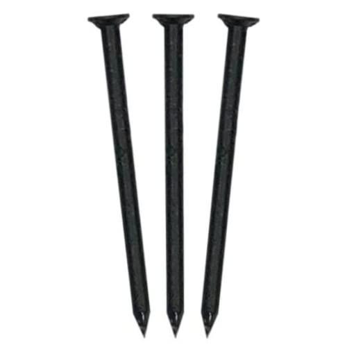 Eagle 1 1.25 Inch Stainless Steel Fascia & Siding Nails - 1lb Black Box