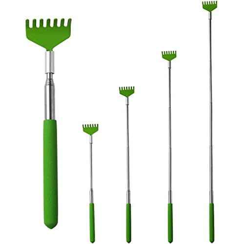 MIUPOO Mini Zen Sand Rakes Tool Decoration Garden Sand Rake Feng Shui Decoration for Home Office 2 Pieces(Yellow + Green)