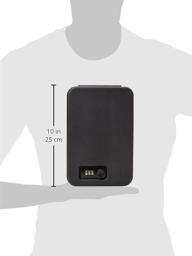 Amazon Basics XL Portable Security Case with Combination Lock for Valuables