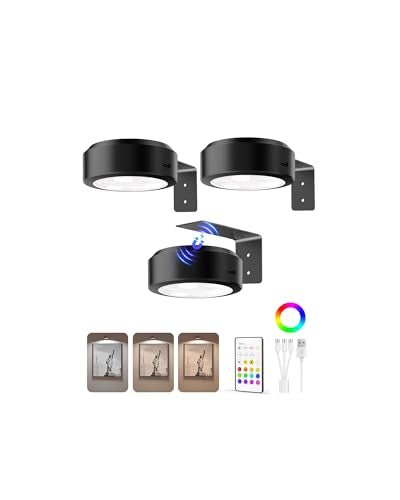 EZVALO Black Rechargeable Picture Lights 3 Pack with Remote & RGB for Wall Art