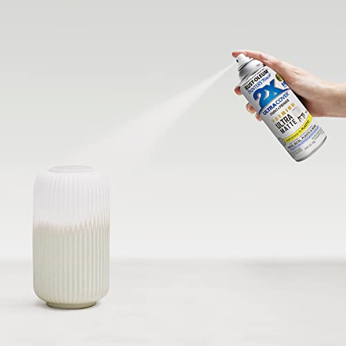 Rust-Oleum Painter's Touch 2X Ultra Cover Spray Paint - Ultra Matte White (Variation 1)