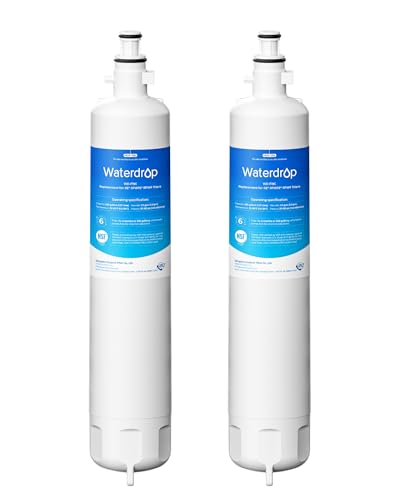 Waterdrop WD-F19C Water Filter Replacement Pack for GE RPWFE - 2 Pack