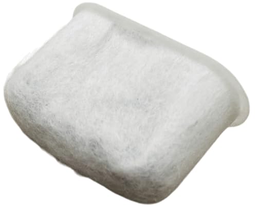 Delonghi 7313285779 O.E.M. Carbon Filter