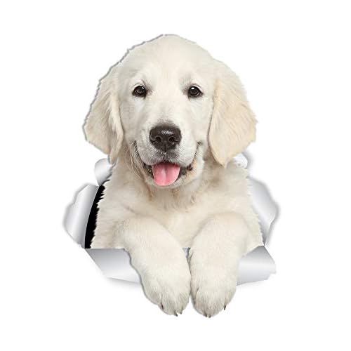 Winston & Bear Gorgeous Golden Retriever Dog Wall Decals - 2 Pack - 3D Sticker Decals for Walls, Cars, Toilet and More - Retail Packaged Golden Retriever Gifts