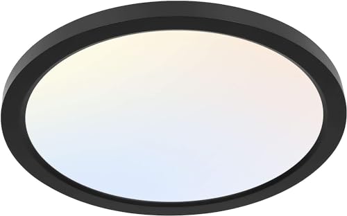 Hykolity 12 Inch Black LED Flat Panel Light with 3-Color CCT, Dimmable Ceiling Fixture