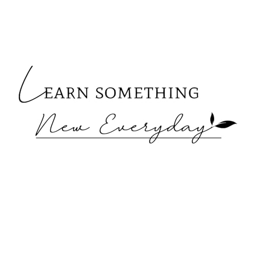Learn Something New Everyday - Positive Quotes Wall Decal Carved Pure Black Vinyl Handwriting Art Letters Stickers Home Decoration