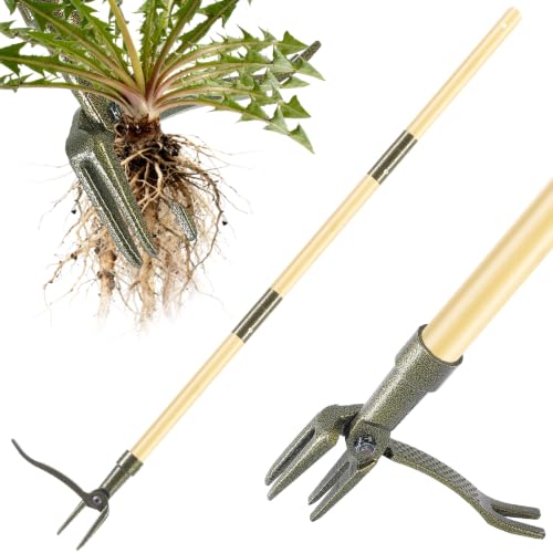 RexWeed Bamboo Brown Stand-Up Weed Puller Tool with Long Handle