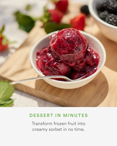 Nama Sorbet Attachment for J2 Juicer – Frozen Treat Maker Accessory