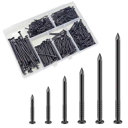 Wensilon Black Nails Assortment Kit - 430pcs, 6 Sizes for Picture Hanging & DIY