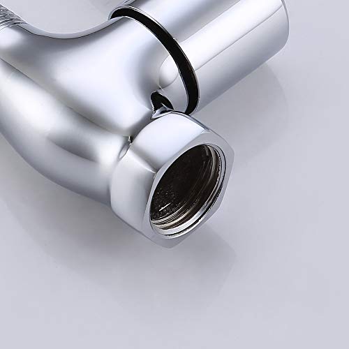 Weirun Chrome Shower Head Shut Off Valve with Brass Construction & Water Pressure Regulator