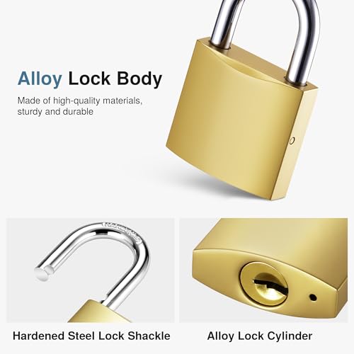 Puroma 2-Key Padlocks 32mm with 6 Keys - Luggage, Locker & School Lock
