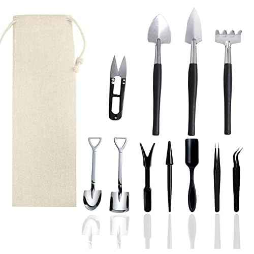 12 Pcs Succulent Tools Set Mini Transplanting Garden Tools Kit for Indoor Gardening Flower Pot Cactus Care