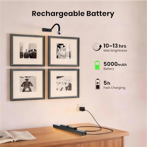 Craftersmark 16in Dimmable Rechargeable Battery Picture Light - Black, Pack of 1