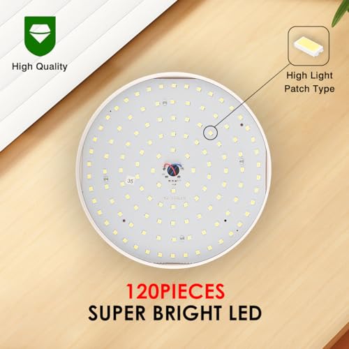 LeKaufen Solar Camping Lantern with Remote - Waterproof Hanging Tent Light, 12H Runtime, 5 Modes, USB & Solar Charging, Model: 1