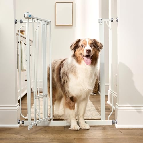 Carlson 36-Inch Extra Tall Walk-Through Dog Gate with Small Pet Door, White, Adjustable 29.5-36.5" Width
