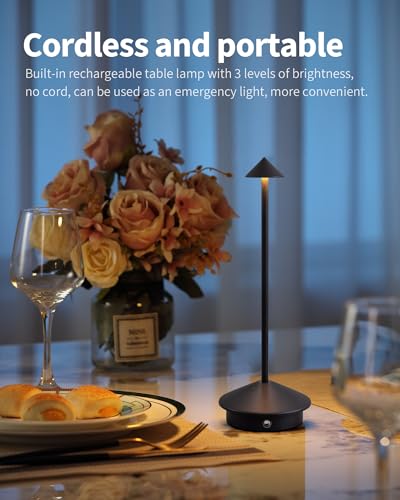 NEWSEE Set of 2 Black Cordless Portable LED Desk Lamps with Touch Control