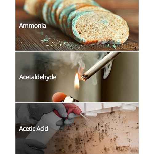 COWAY AP-1512HH & 200M Air Purifier Filter Replacement, Fresh Starter Pack, 2 Fresh Starter Deodorization Filters and 1 True HEPA Filter, 1 Pack, Black