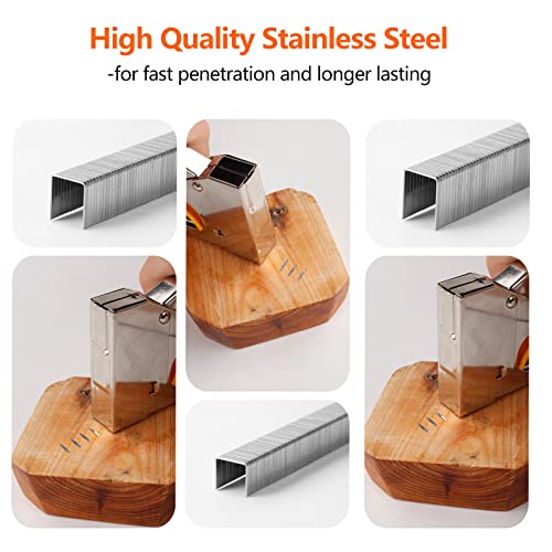 Heavy Duty Stainless Steel T50 Staples Pack 3 Sizes 1000-Count 5/16, 3/8, 1/2 inch