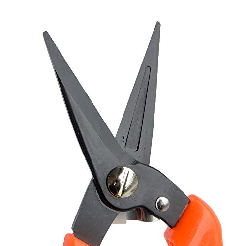 8-Inch Goat & Sheep Hoof Trimming Shears with Carbon Steel Blades - Multiuse Livestock & Gardening Tool